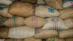 sacks of coffee beans