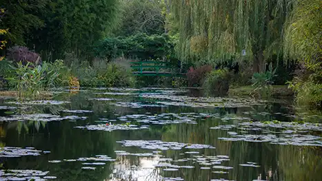 Claude Monet's Garden